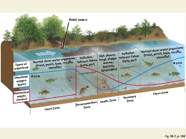 Point source Types of organisms Dissolved oxygen (ppm) ms ater organis w n a