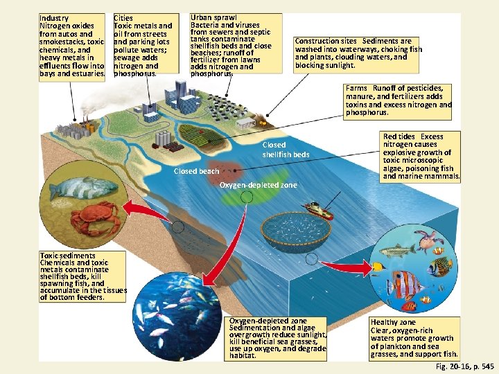 Industry Nitrogen oxides from autos and smokestacks, toxic chemicals, and heavy metals in effluents