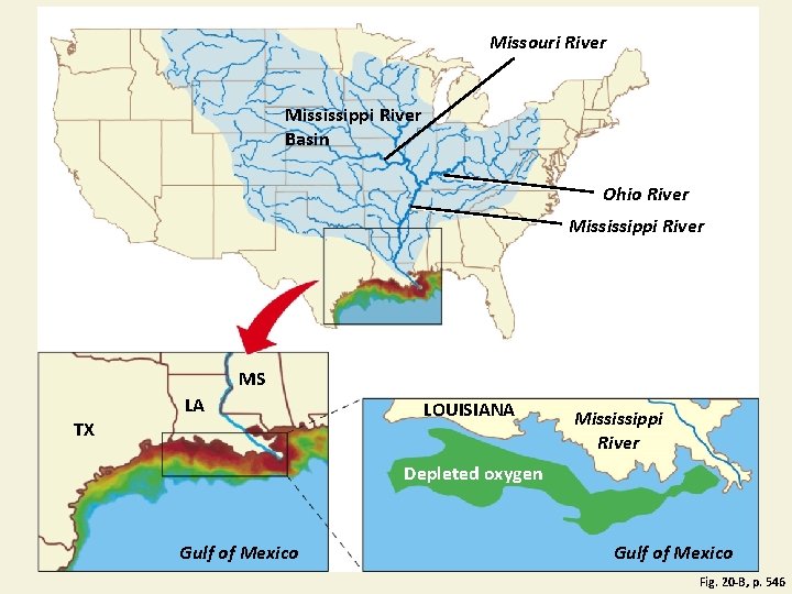Missouri River Mississippi River Basin Ohio River Mississippi River MS TX LA LOUISIANA Mississippi