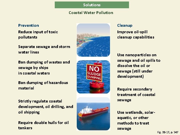 Solutions Coastal Water Pollution Prevention Reduce input of toxic pollutants Separate sewage and storm