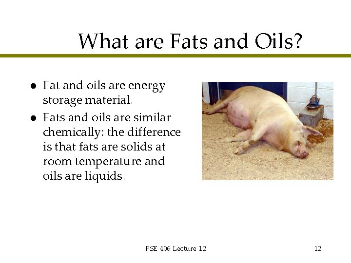 What are Fats and Oils? l l Fat and oils are energy storage material.