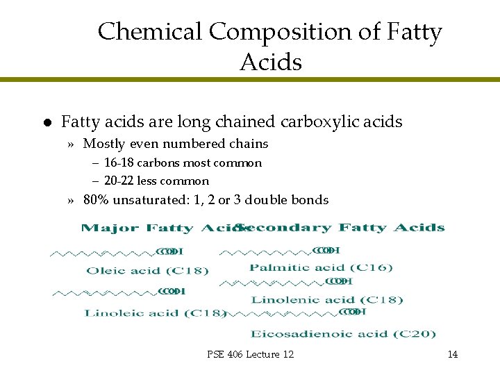 Chemical Composition of Fatty Acids l Fatty acids are long chained carboxylic acids »