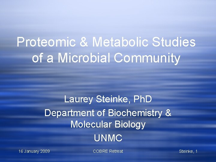 Proteomic & Metabolic Studies of a Microbial Community Laurey Steinke, Ph. D Department of