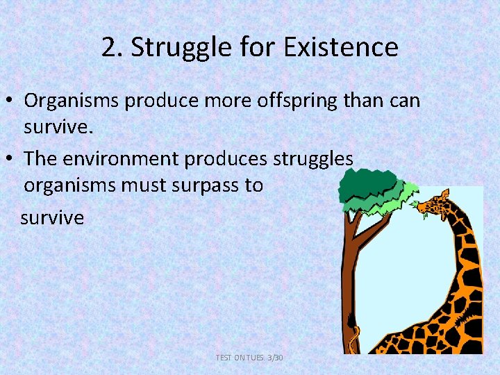 2. Struggle for Existence • Organisms produce more offspring than can survive. • The