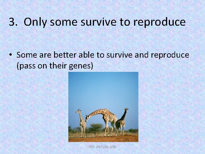 3. Only some survive to reproduce • Some are better able to survive and