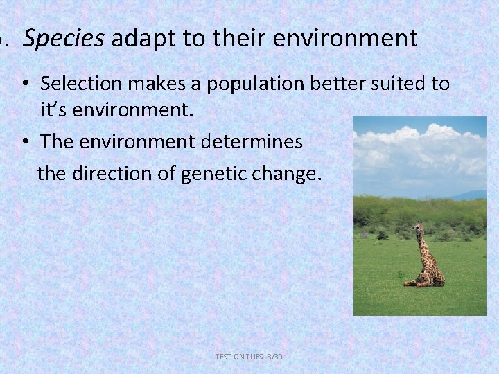 5. Species adapt to their environment • Selection makes a population better suited to