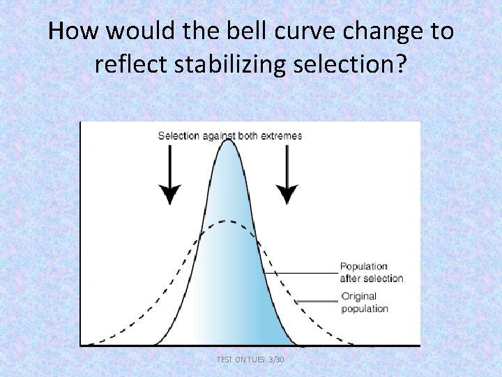 How would the bell curve change to reflect stabilizing selection? TEST ON TUES. 3/30
