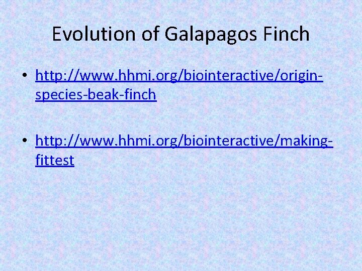 Evolution of Galapagos Finch • http: //www. hhmi. org/biointeractive/originspecies-beak-finch • http: //www. hhmi. org/biointeractive/makingfittest