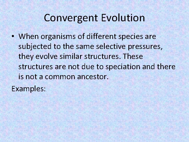 Convergent Evolution • When organisms of different species are subjected to the same selective