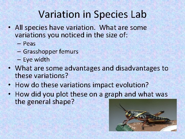 Variation in Species Lab • All species have variation. What are some variations you