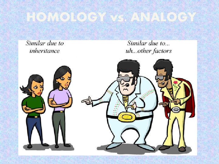 HOMOLOGY vs. ANALOGY 