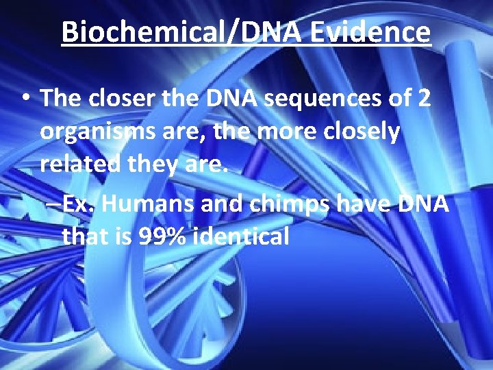 Biochemical/DNA Evidence • The closer the DNA sequences of 2 organisms are, the more