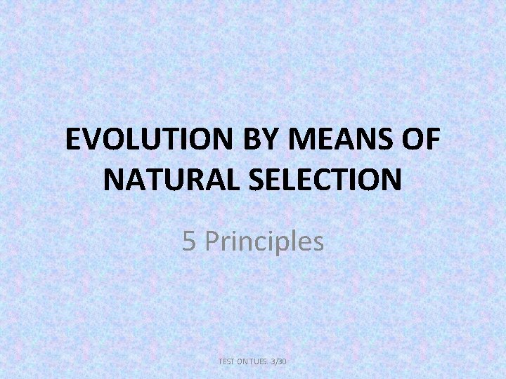 EVOLUTION BY MEANS OF NATURAL SELECTION 5 Principles TEST ON TUES. 3/30 