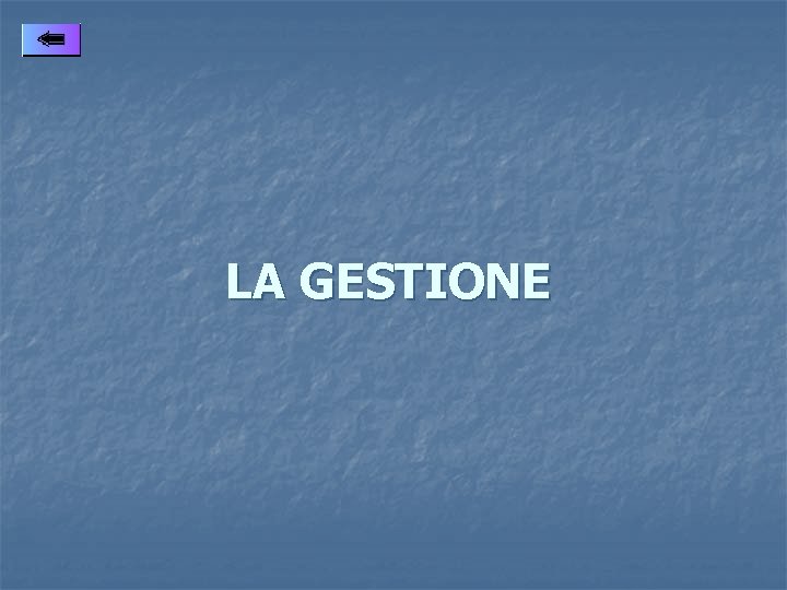 LA GESTIONE 