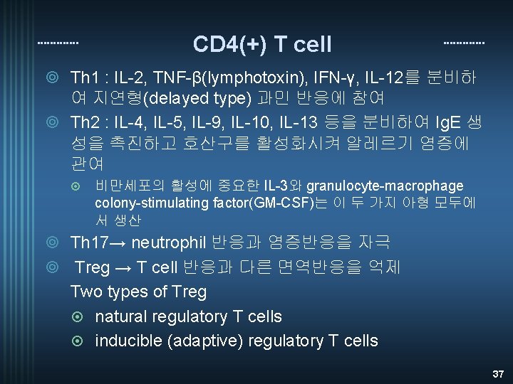 CD 4(+) T cell ¥ Th 1 : IL-2, TNF-β(lymphotoxin), IFN-γ, IL-12를 분비하 여