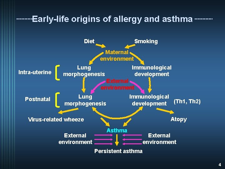 Early-life origins of allergy and asthma Diet Intra-uterine Postnatal Smoking Maternal environment Lung Immunological