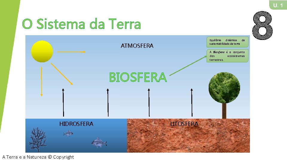 O Sistema da Terra Equilíbrio dinâmico da sustentabilidade da terra ATMOSFERA A Biosfera é