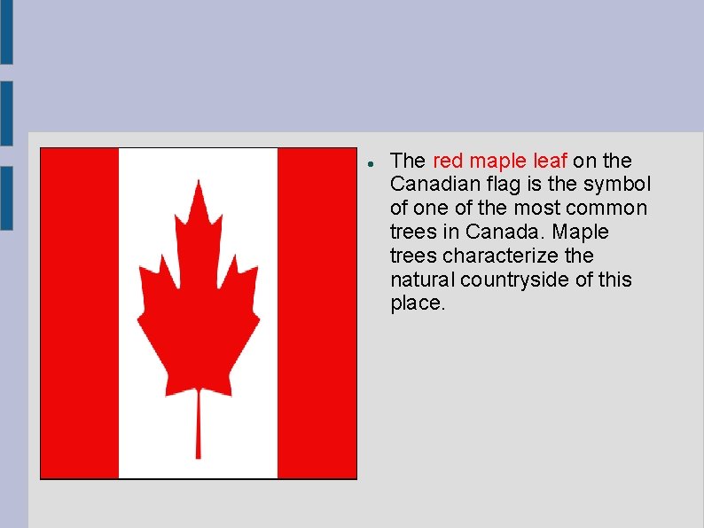 The red maple leaf on the Canadian flag is the symbol of one