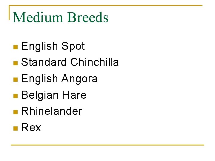 Medium Breeds English Spot n Standard Chinchilla n English Angora n Belgian Hare n