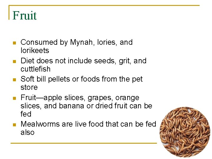 Fruit n n n Consumed by Mynah, lories, and lorikeets Diet does not include