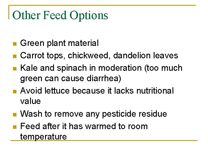 Other Feed Options n n n Green plant material Carrot tops, chickweed, dandelion leaves