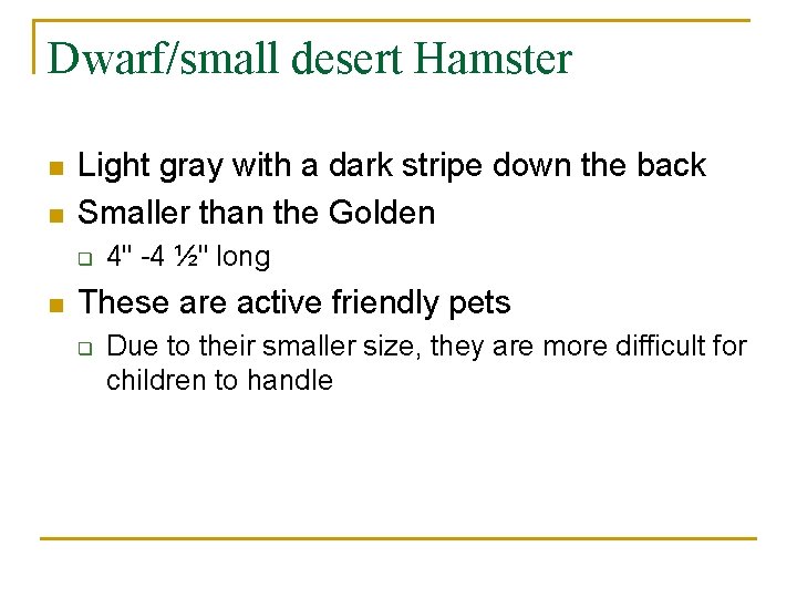 Dwarf/small desert Hamster n n Light gray with a dark stripe down the back