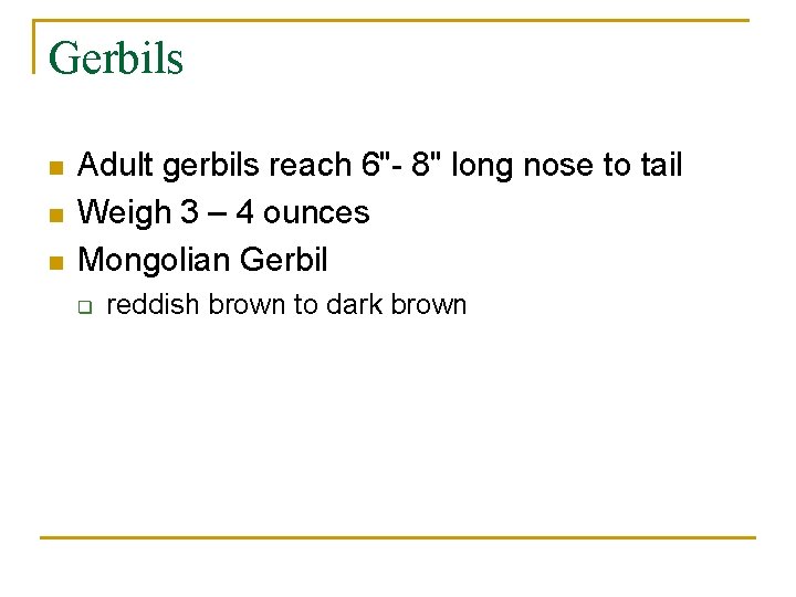 Gerbils n n n Adult gerbils reach 6"- 8" long nose to tail Weigh