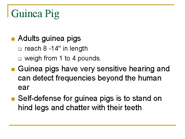 Guinea Pig n Adults guinea pigs q q n n reach 8 -14" in