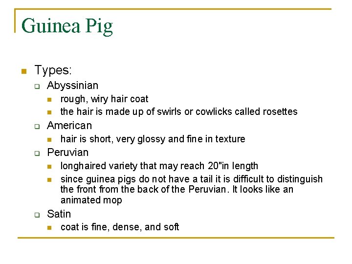 Guinea Pig n Types: q Abyssinian n n q American n q hair is