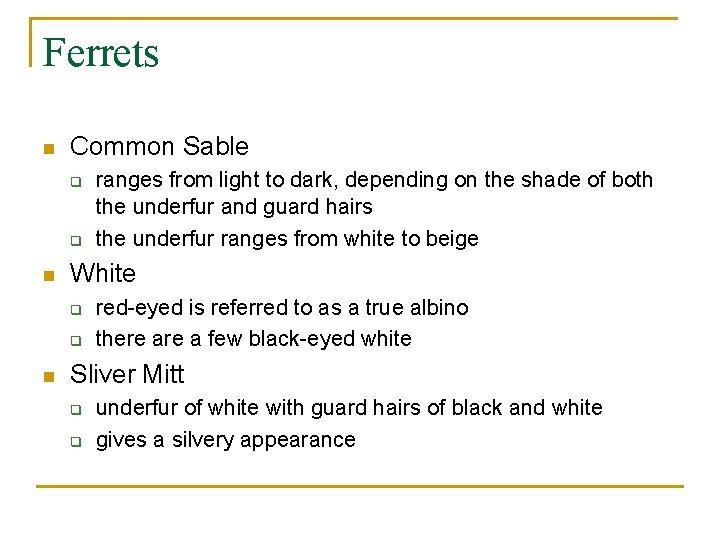 Ferrets n Common Sable q q n White q q n ranges from light