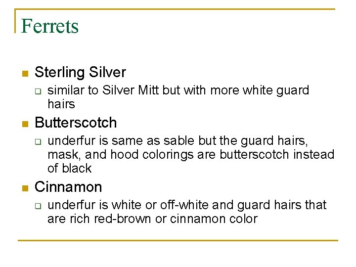 Ferrets n Sterling Silver q n Butterscotch q n similar to Silver Mitt but