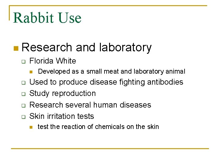 Rabbit Use n Research q Florida White n q q and laboratory Developed as