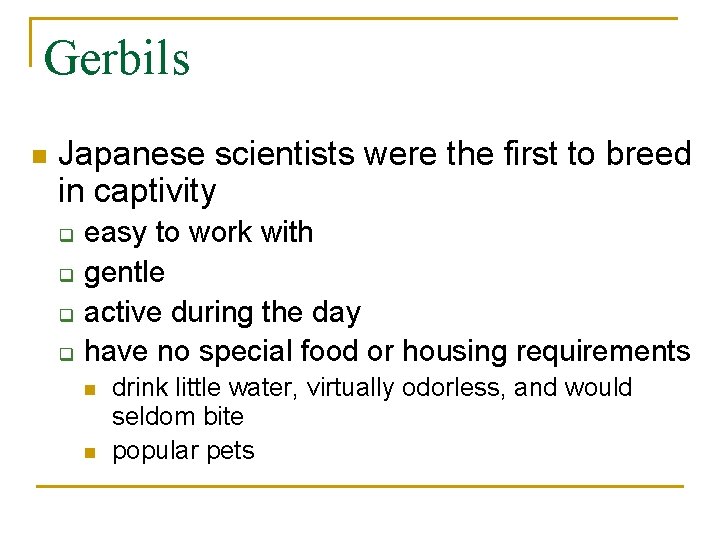 Gerbils n Japanese scientists were the first to breed in captivity q q easy