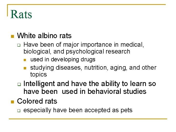 Rats n White albino rats q Have been of major importance in medical, biological,