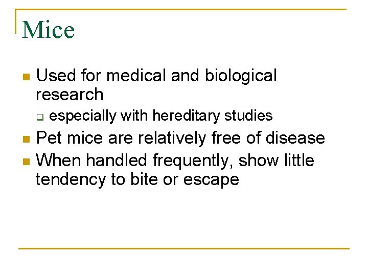 Mice n Used for medical and biological research q especially with hereditary studies Pet