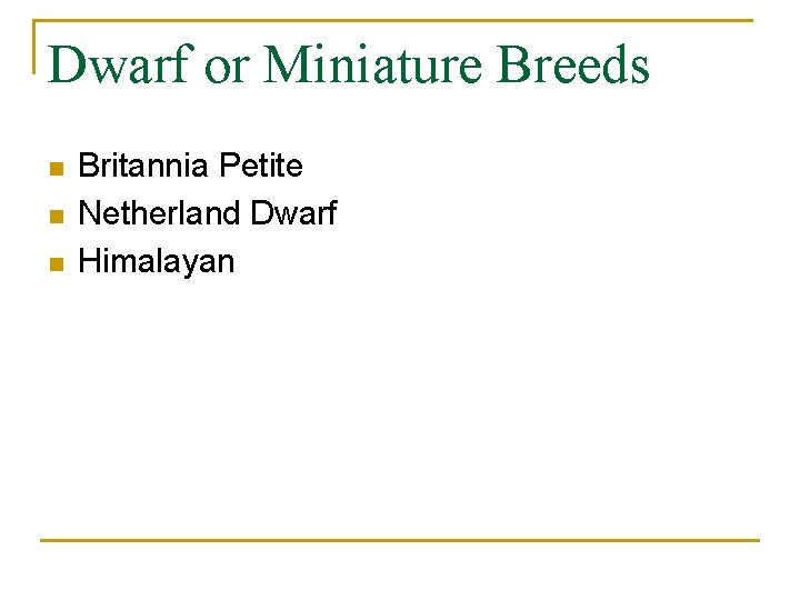 Dwarf or Miniature Breeds n n n Britannia Petite Netherland Dwarf Himalayan 