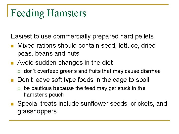 Feeding Hamsters Easiest to use commercially prepared hard pellets n Mixed rations should contain