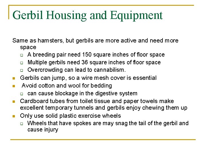 Gerbil Housing and Equipment Same as hamsters, but gerbils are more active and need