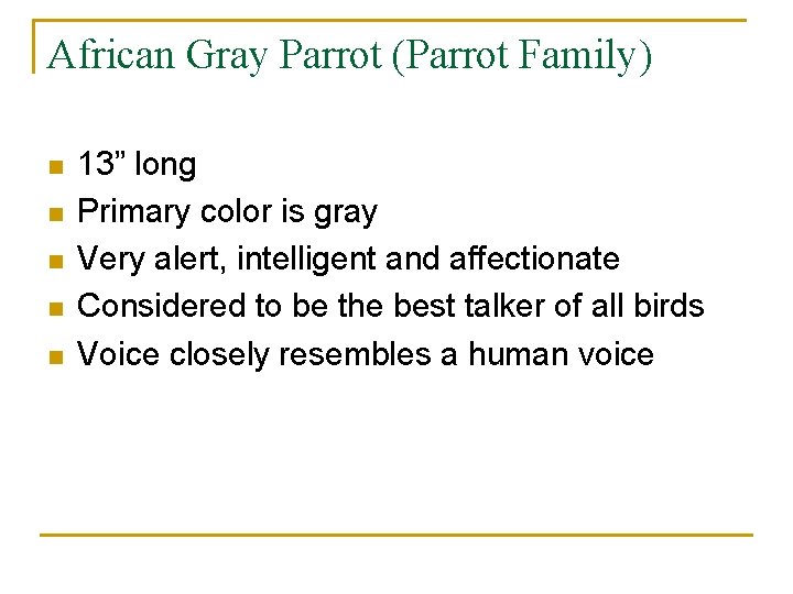 African Gray Parrot (Parrot Family) n n n 13” long Primary color is gray