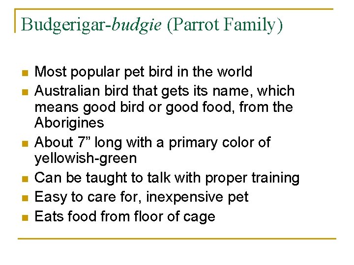 Budgerigar-budgie (Parrot Family) n n n Most popular pet bird in the world Australian