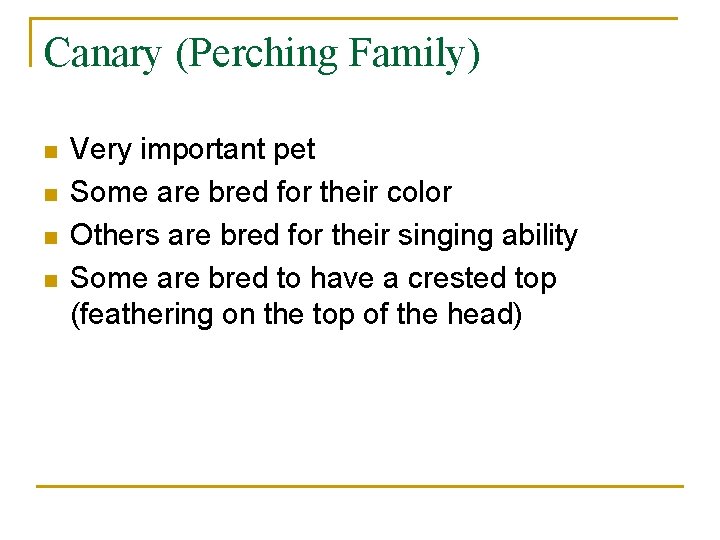 Canary (Perching Family) n n Very important pet Some are bred for their color