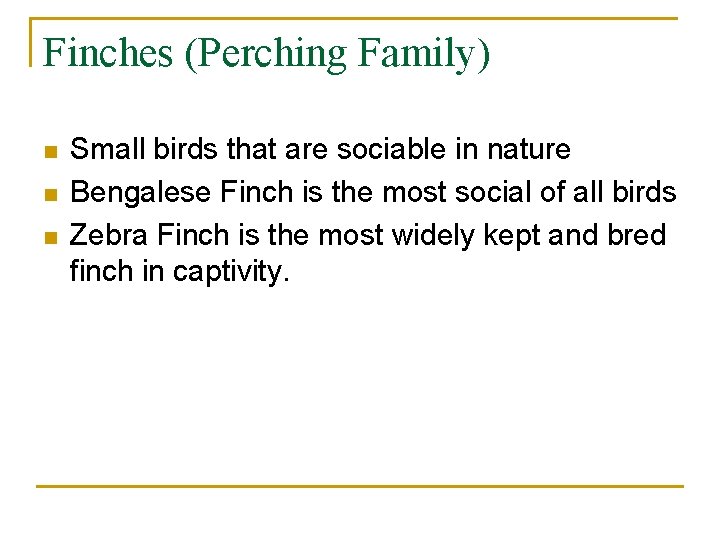 Finches (Perching Family) n n n Small birds that are sociable in nature Bengalese