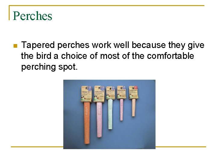 Perches n Tapered perches work well because they give the bird a choice of