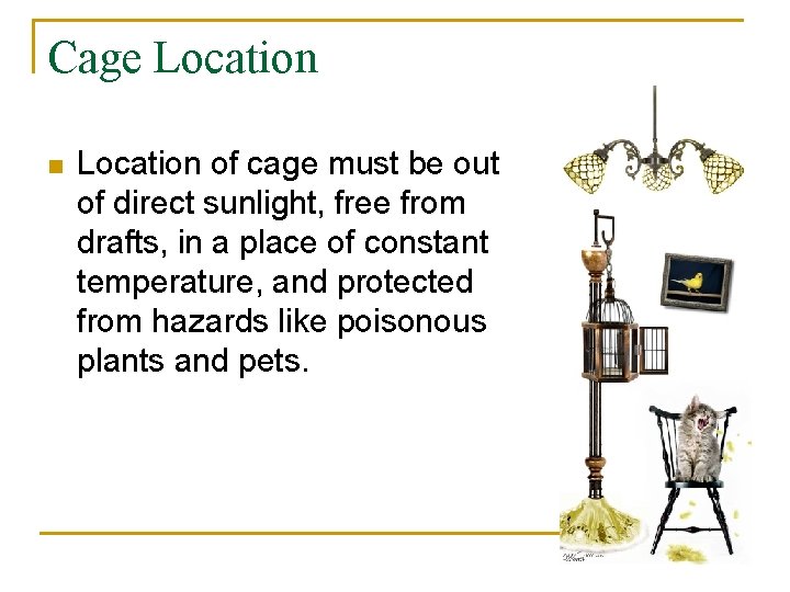 Cage Location n Location of cage must be out of direct sunlight, free from