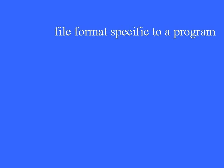 file format specific to a program 