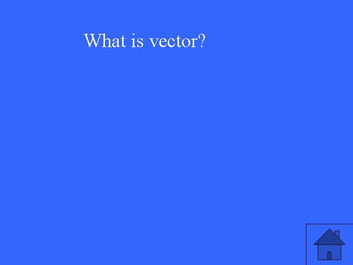 What is vector? 