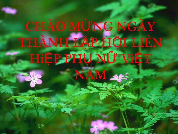 CHÀO MỪNG NGÀY THÀNH LẬP HỘI LIÊN HiỆP PHỤ NỮ ViỆT NAM 