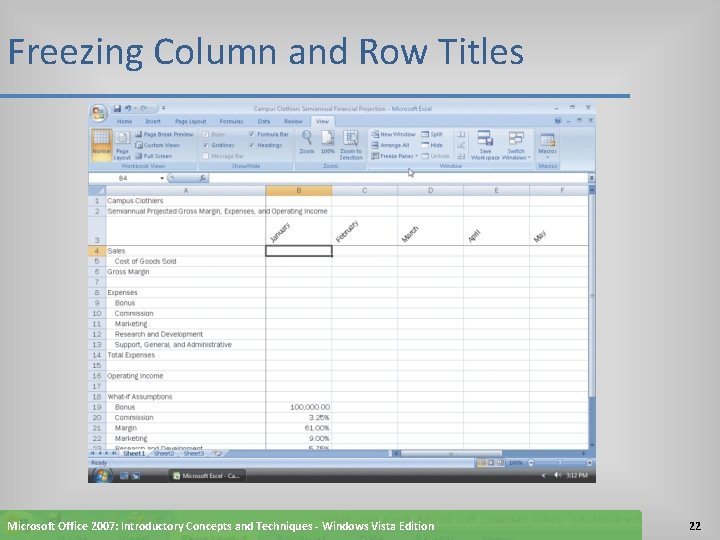 Freezing Column and Row Titles Microsoft Office 2007: Introductory Concepts and Techniques - Windows