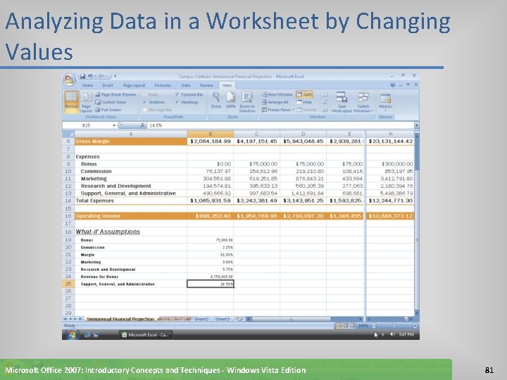 Analyzing Data in a Worksheet by Changing Values Microsoft Office 2007: Introductory Concepts and