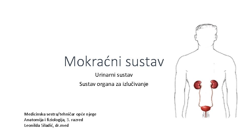 Mokraćni sustav Urinarni sustav Sustav organa za izlučivanje Medicinska sestra/tehničar opće njege Anatomija i